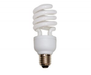 Image of a compact Fluorescent Light Bulb or CFL (examples of dirty electricity sources)