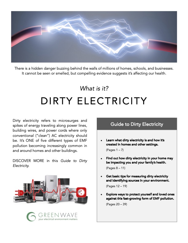Cover page of Guide to Dirty Electricity. Defines dirty electricity and lists the topics that will be covered in the guide.